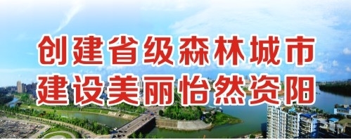 插逼逼视频网站创建省级森林城市 建设美丽怡然资阳